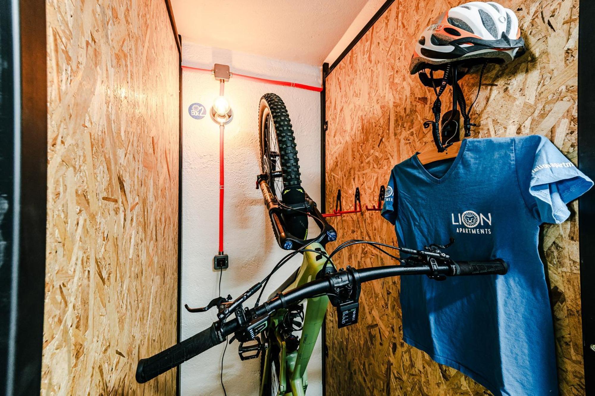 אאוסטה Le Lion Apartments - Bike & Ski מראה חיצוני תמונה